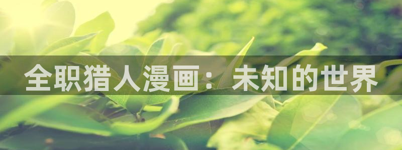 一拳超人拳2韩漫动漫：全职猎人漫画：未知的世界