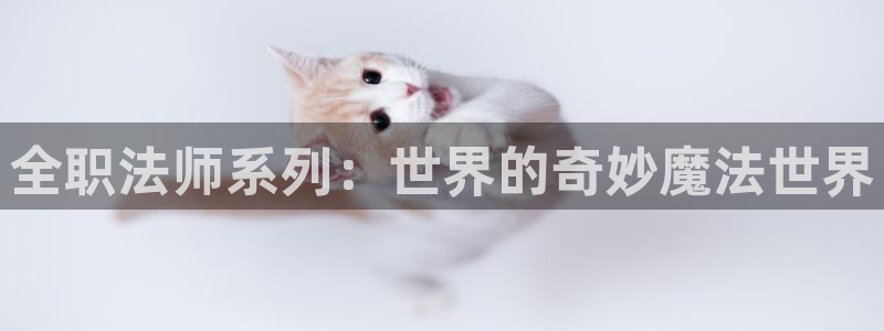 亚托莉我挚爱的时光韩漫动漫：全职法师系列：世界的奇妙魔法世界