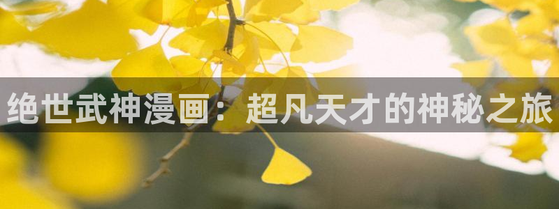 杀手阿一动画韩漫动漫在哪里看：绝世武神漫画：超凡天才的神秘之旅